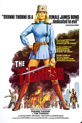 石家庄谷歌网站优化